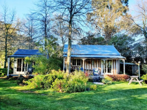 Bumblebee Cottage, Greytown